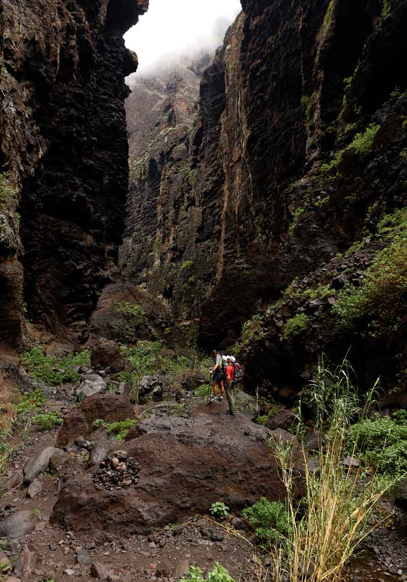Mehrere Wanderer laufen zwischen den Felswände der Masca-Schlucht auf Teneriffa hindurch.