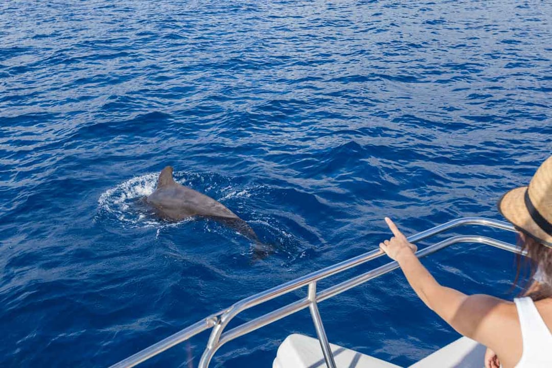 Vrouw aan boord van een boot tijdens het spotten van een dolfijn op Tenerife