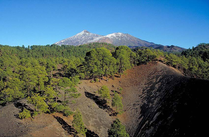 Schitterende afbeelding van het Nationale Park de Teide