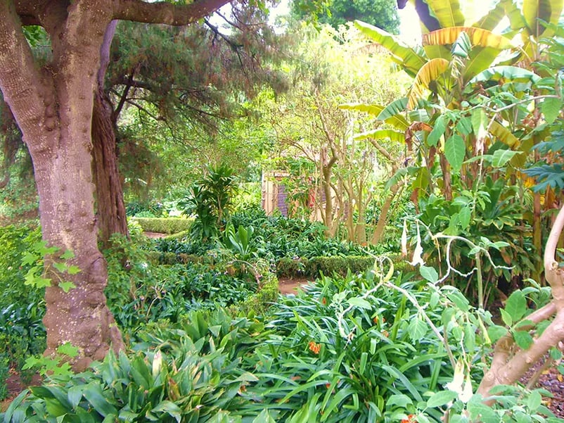 The Hijuela del Botánico Garden