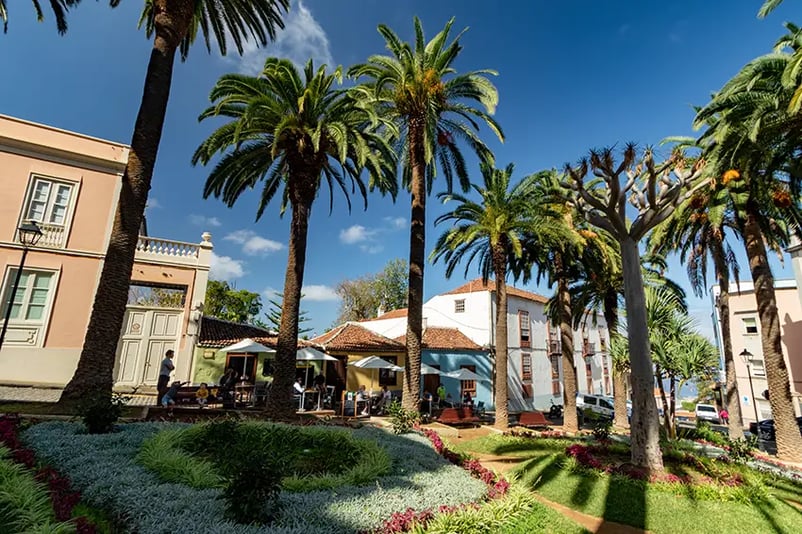 Where to eat in a rustic setting in La Orotava