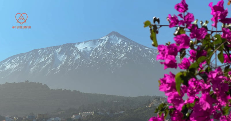 El Teide nevado en segundo plano nos saluda.