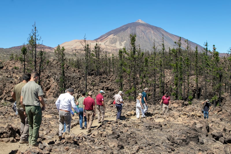 Los principales agentes de la restauración del Jardín Botánico de El Portillo pasean con el Teide en el horizonte.
