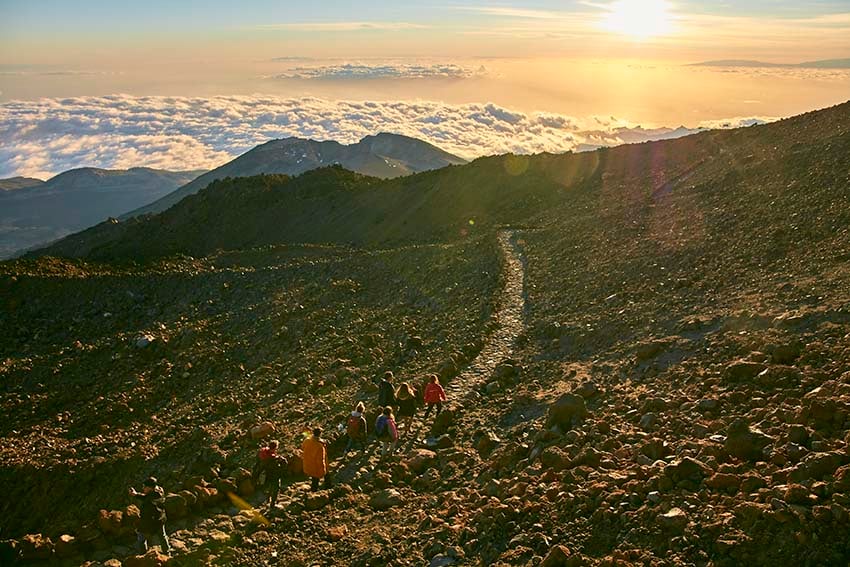 Grupo de personas paseando por los senderos del Teide